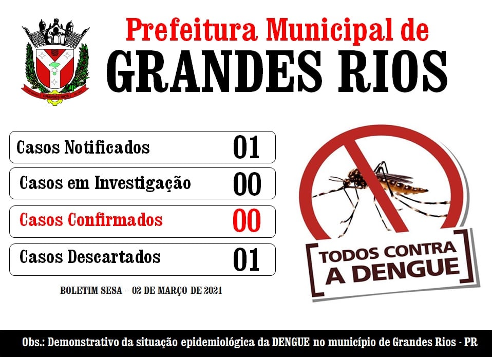 Informativo Dengue