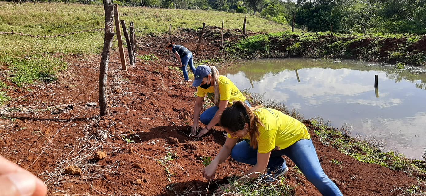 Plantio de mudas em referencia à Semana do Meio Ambiente