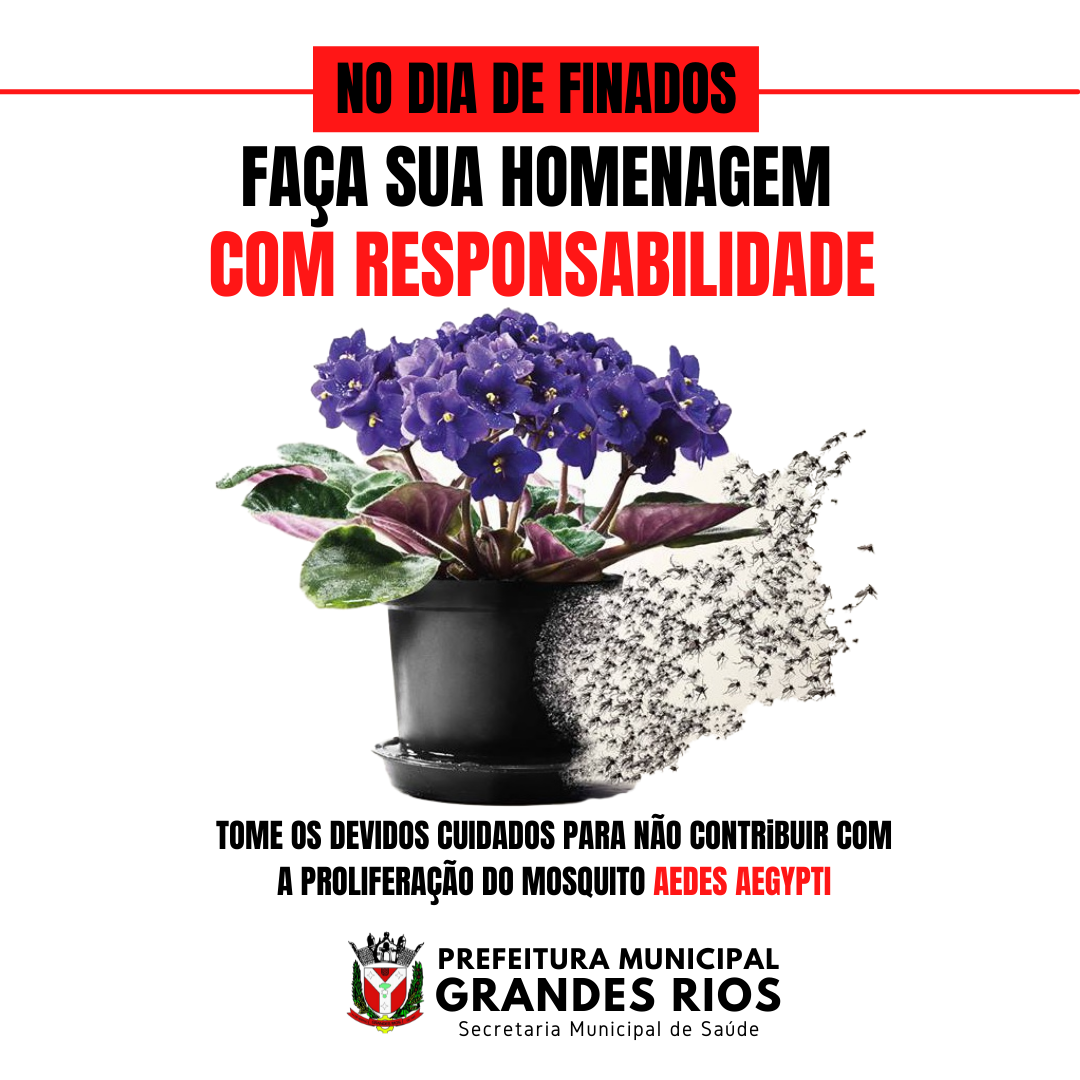 Dicas de Prevenção para Aedes Aegypti (02/11)