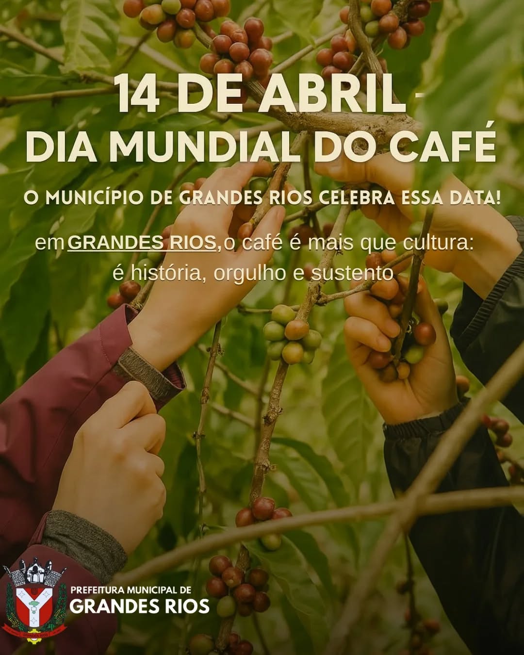 Dia mundial do Café (14 de abril)