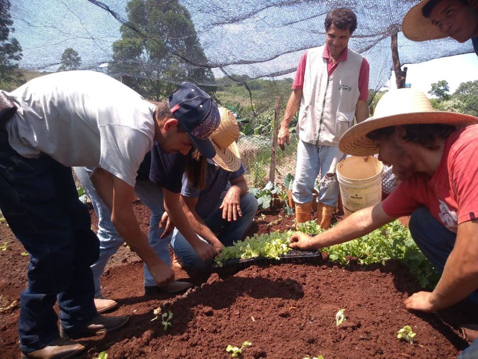 Curso de Agricultura Orgânica